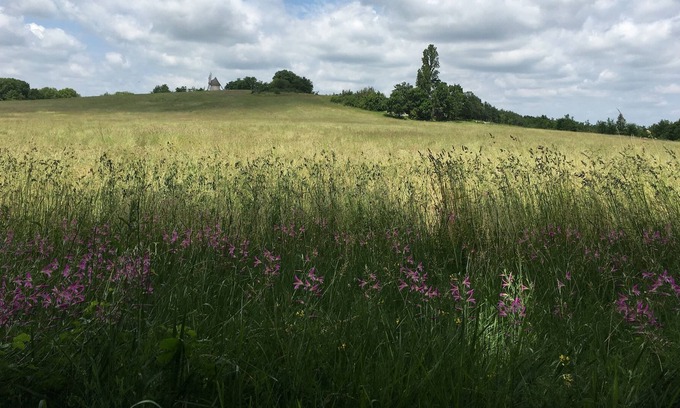 Montaigu-de-Quercy House | The "Miller's House", Ecolodge for nature lovers