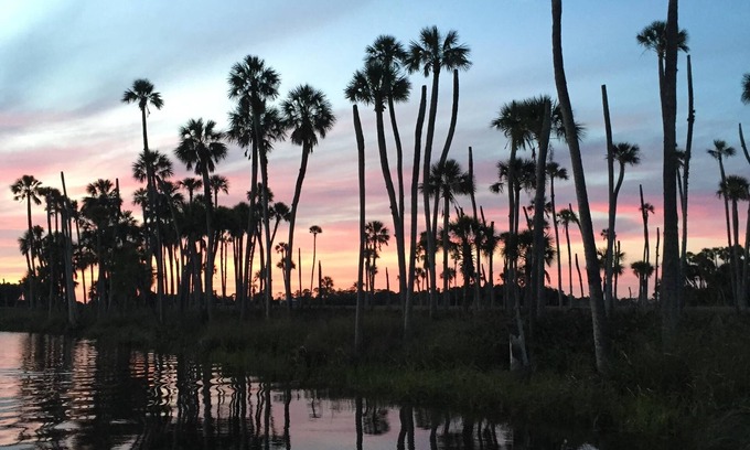 Weeki Wachee Gardens House | The Million Dollar View
