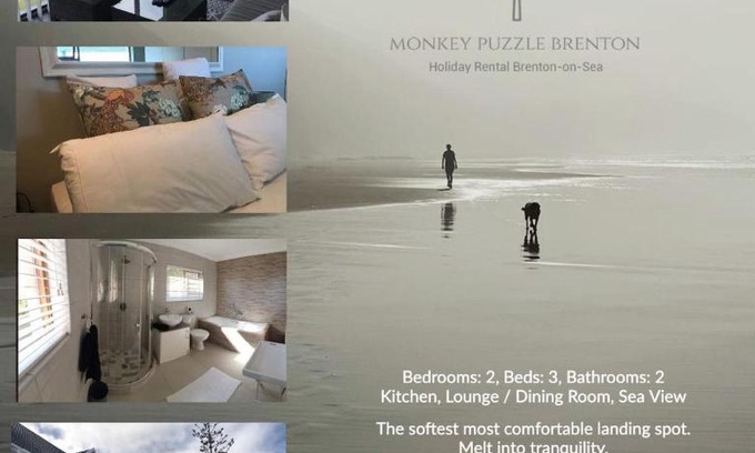 Brenton-on-Sea Apartment | The Monkey Puzzle