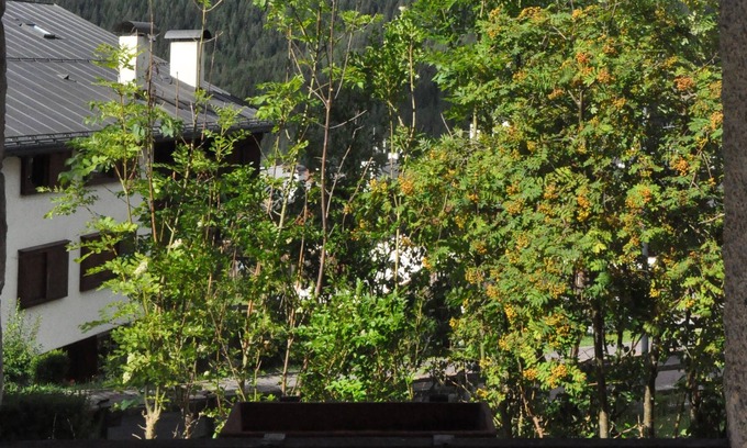 San Vito di Cadore House | The Mountain View In San Vito di Cadore