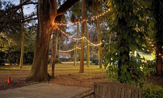 Old Seminole Heights Apartment | The Nest in Seminole Heights