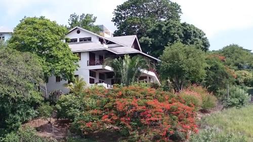 Buccoo Apartment | The Nest Tobago Apartments