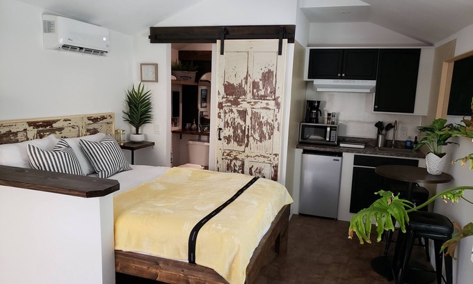 United Central House | The Oasis of St Petersburg