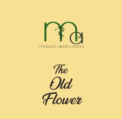 Gheorgheni Apartment | The Old Flower