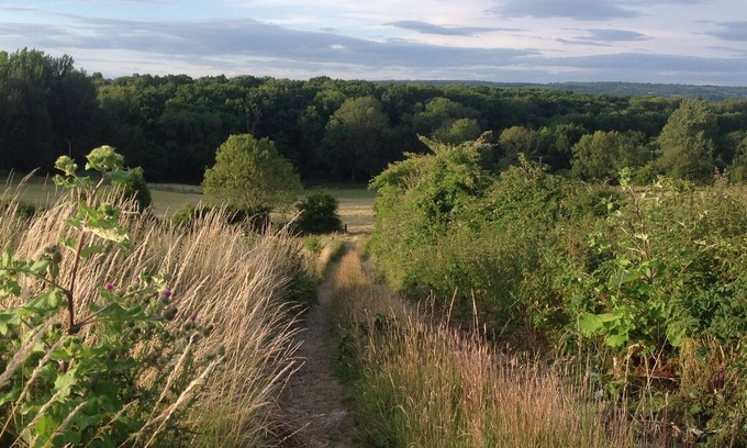 Petworth Bed & Breakfast | The Old Smithy. A delightful B&B Adjacent to the South Downsn