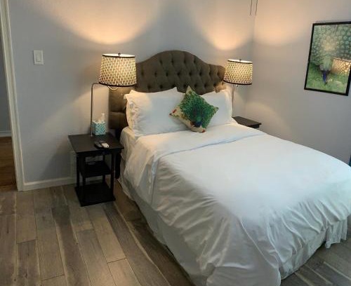 Medical Center District House | The Peahen House