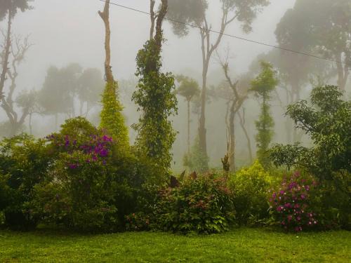 Madikeri House | The Perch -Entire house. A Coffee Lover's Paradise