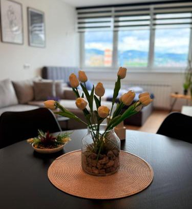 Novo Sarajevo Apartment | The Perle Sarajevo Tower Studio Free car park
