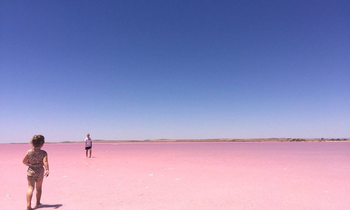 Cameron Cabin | The Pink Lake Tiny House - 'Sakura' - Lake Bumbunga (Lochiel)