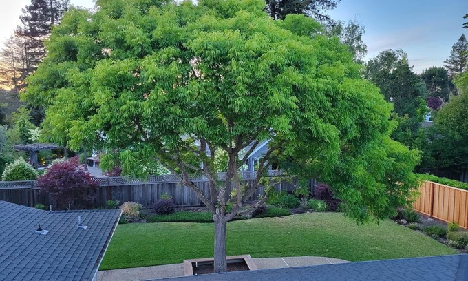 Moraga House | THE PLATFORMS CONDUCT PREVENTS US FROM HOSTING GUESTS - DO NOT BOOK