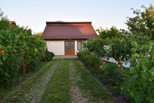 Bragadiru Villa | The Ranch House Bragadiru