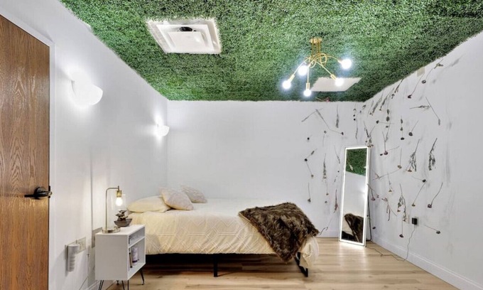 Champaign Apartment | The Secret Garden - Room 4