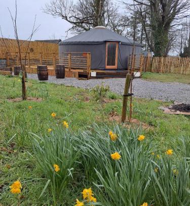 Loughrea Other | The Snowdrop