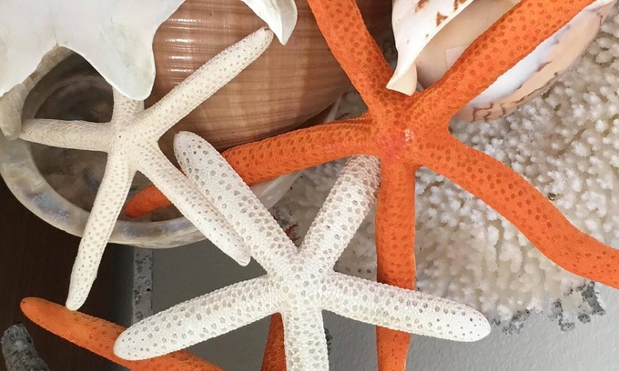 Old Towne Cottage | The Starfish Cottage" Steps to the Ocean. 🌊🏖️. 🌀SUMMER FUN 🌀RELAX & ENJOY 😎