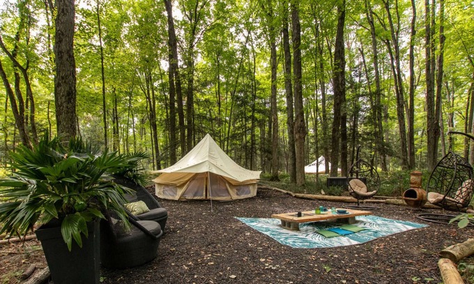 East Gwillimbury RV Rental | The Taiga Animal Sanctuary Glamping Cedar Tent