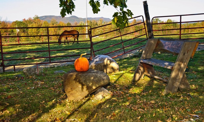 Sumner Other | The Tortoise and The Mare self-keeping Inn~Peaceful or Playful~it's up to YOU!