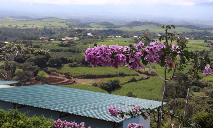 Puente de Piedra Cabin | The Toucan - Cozy Mountain Cabin, Stunning Views, Private & Quiet in Costa Rica
