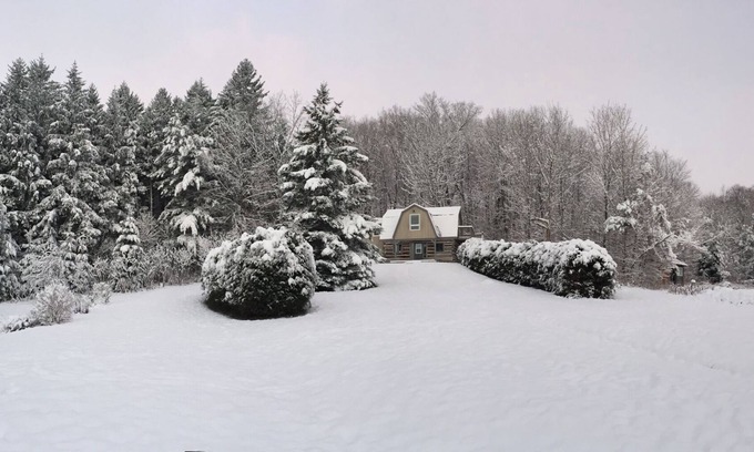 Mono Cabin | The Trails Retreat (Private Cabin)