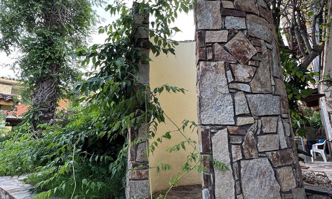 La Caletta House | The two palms from Angelo the cove