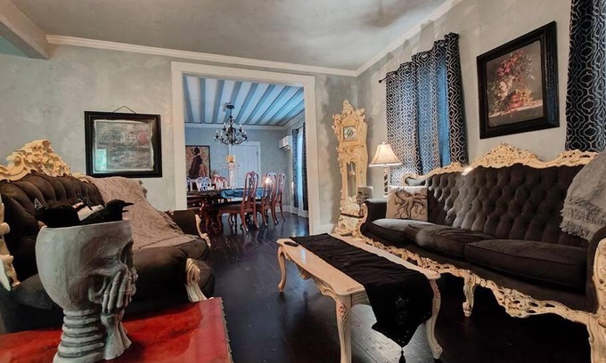 Fort Smith House | The vampire's den, downtown big house, pets ok