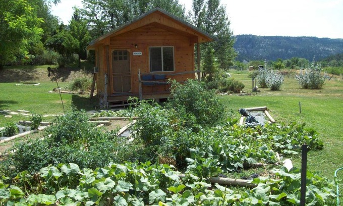 Glendale Cabin | The Wandering Star Inn