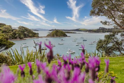Kerikeri House | The Waterfront Studio Opito Bay