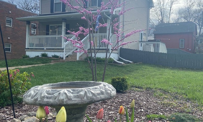 Des Moines House | The Woodland Gateway: minutes to everything and family friendly!