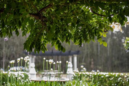 Pokolbin House | The Woods Pokolbin