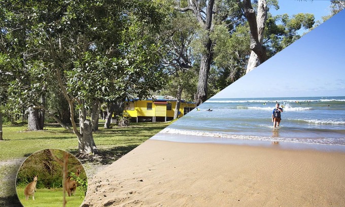 Round Hill Cottage | The Yellow Cottage - sub-tropical bush & beach. Pet friendly