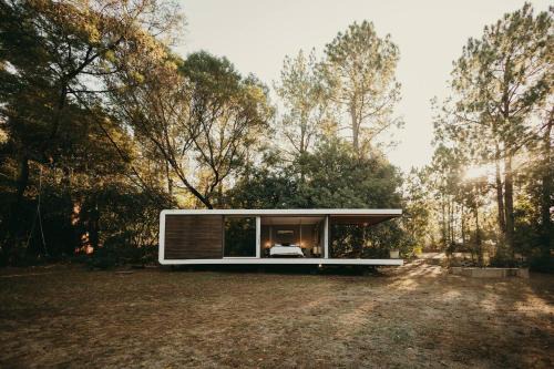 Tshwane Apartment | The Zenkaya Cabin
