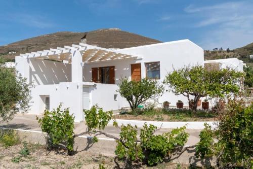 Paros House | Theodora's Family Suite