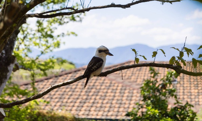Bellingen House | This stunning property offers three bedrooms and two bathrooms