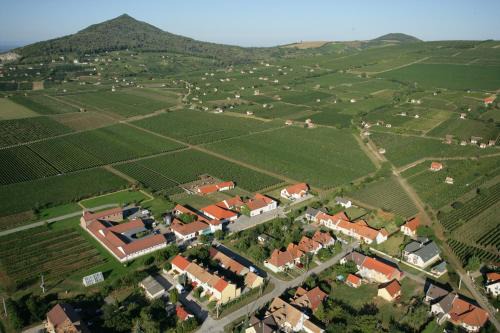 Villany House | Tiffán's Pincészet és Panzió