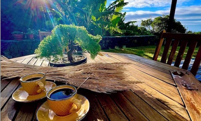 Angra do Heroismo House | Time to Travel to Terceira