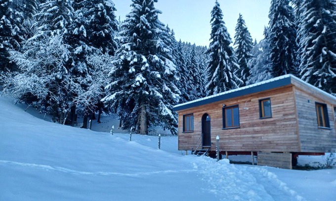 Meaudre House | Tiny House in Méaudre in the heart of nature (Vercors plateau)