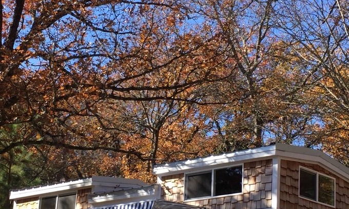 Log Cabin House | TINY HOUSE experience on the Cedar Creek Lake with lake view. 26mi to Canton!