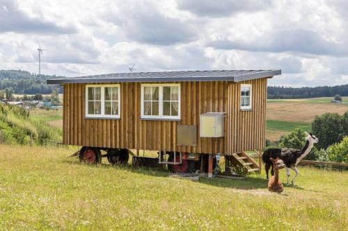 Willofs House | Tinyhouse Alpakawiese