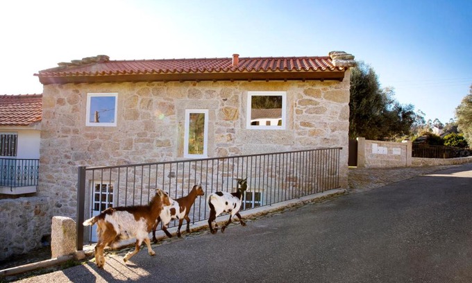 Arcos de Valdevez Villa | Tio Zé - Casas de Selim