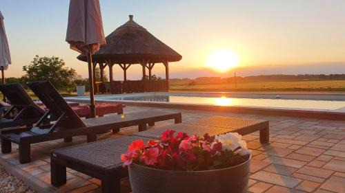 Tiszaszolos Bed & Breakfast | Tisza White House