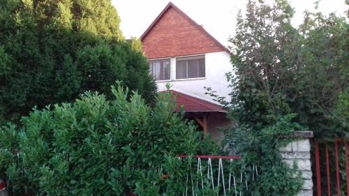 Csopak Apartment | Tiszafa Apartman