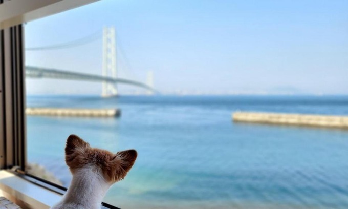 Awaji House | Tiz wan 明石大橋