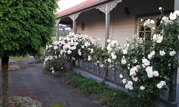 Martinborough House | Todd's Cottage and Vineyard in the "fun part" of town.