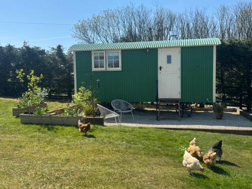 St Wenn House | Toms Hut and Robins Rest Shepherd Huts near Wadebridge