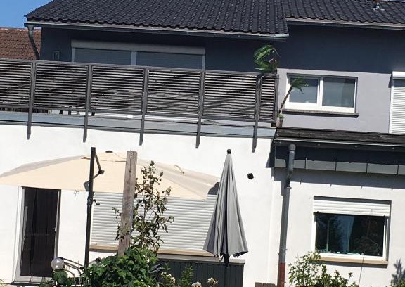 Erlenbrunn Apartment | Tor zum Pfälzerwald