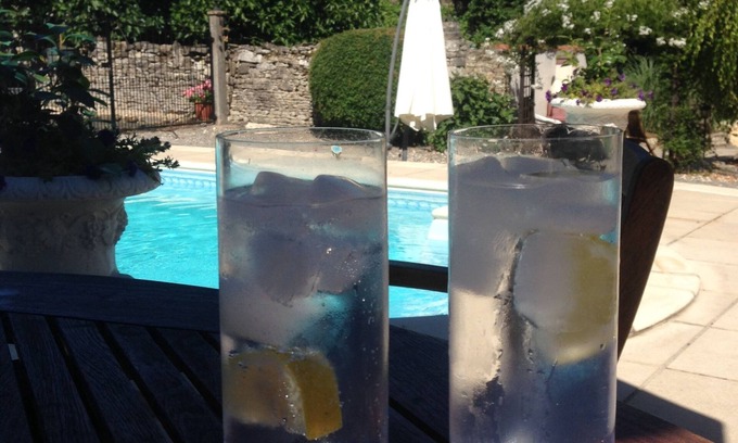 Chaunay Other | TRADITIONAL FARMHOUSE WITH PRIVATE POOL IN ENCLOSED COURTYARD