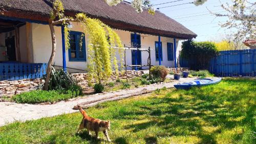 Jurilovca Villa | Traditional House in Danube Delta