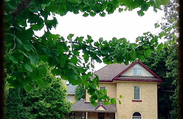 Stratford Bed & Breakfast | Tranquil Days Guest House - a truly exceptional bed and breakfast