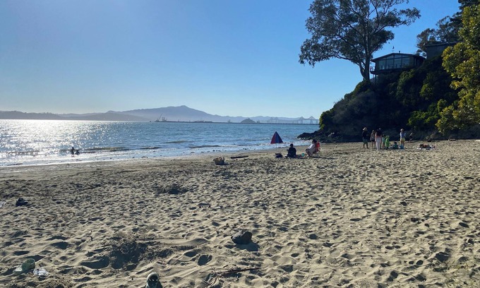 Point Richmond House | Tranquil Mid Century SF Gem. Beautiful Bay Views. Centrally Located. Walkable