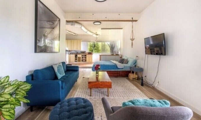 Piedmont Pines Apartment | Tranquil Modern 1 bedroom in-law unit in the Oakland Trees