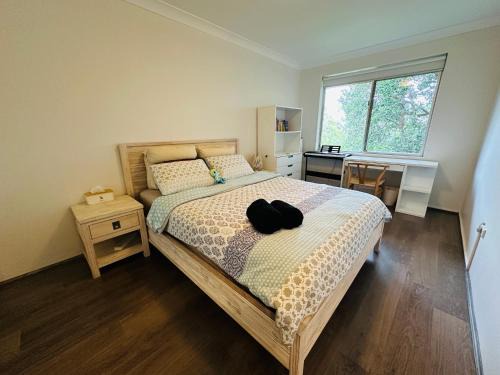 Chatswood Apartment | Tranquil Retreat in Chatswood